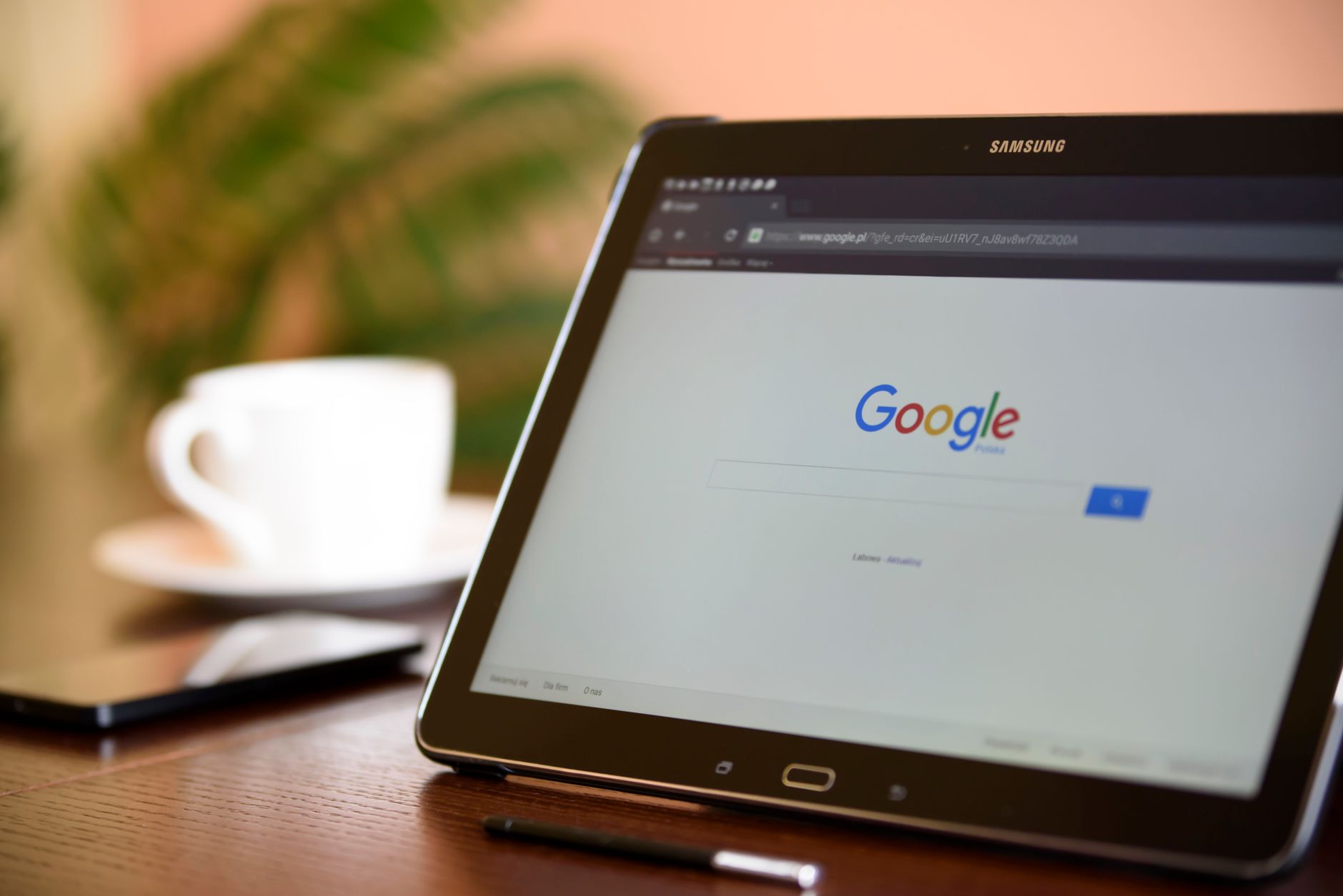 Quels sont les nouveaux horizons en search marketing ?